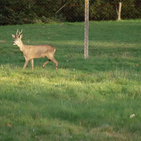 Le Cheminard Panzió 3*