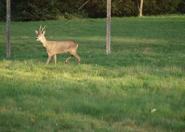 Le Cheminard 住宿加早餐酒店 3*